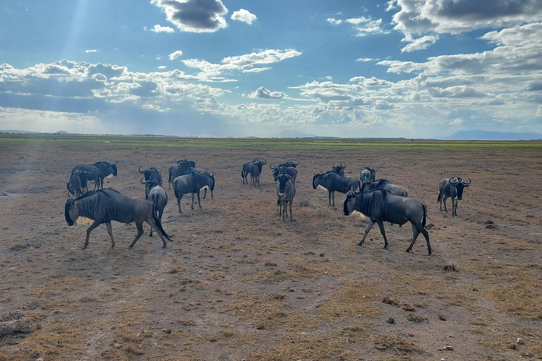 3-day Amboseli & SaltLick Safar: Kilimanjaro View & Treetop