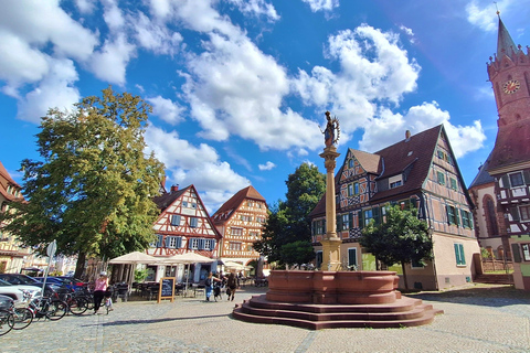 From Heidelberg: Summer Dream & Time for the Soul: Short Trip to Lorsch and Ladenburg Private group with pickup (1 to 2 people)