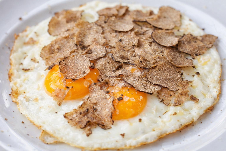 45 min from Milano/Genova: Truffle Hunting + Trattoria Lunch