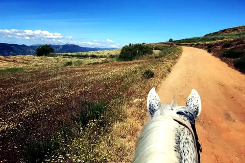 Lanjarón: Horseback Route Through the Alpujarra with Caballo Blanco