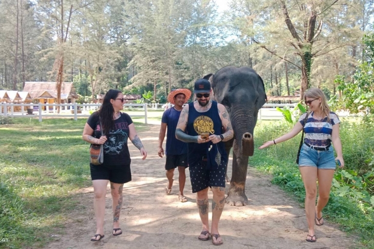 Khaolak: santuario de elefantes con centro de conservación de tortugas
