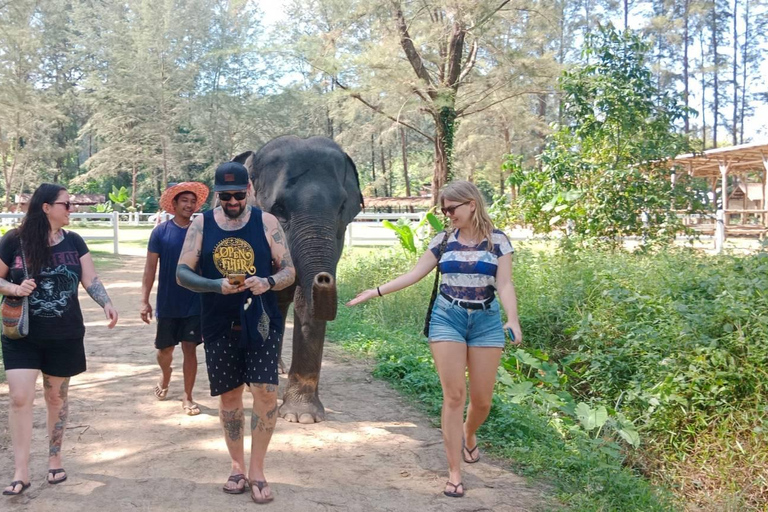 Khaolak : sanctuaire des éléphants avec centre de conservation des tortues