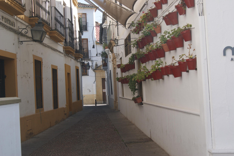 Córdoba Walking Tour: Experience the Passion of Flamenco