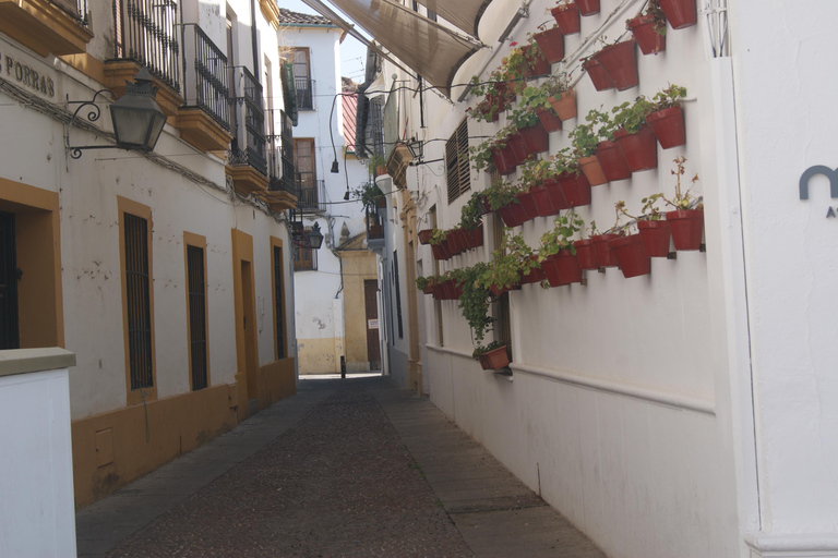 Córdoba Walking Tour: Experience the Passion of Flamenco