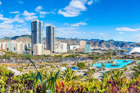 Best of Tenerife: Panoramic Shore Excursion with Port Pickup Shared Tour