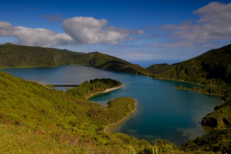 Ponta Delgada: Visita guidata all'apiario