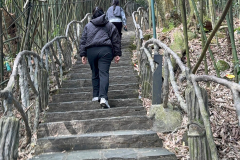 Tam Dao Private Day Tour With Misty Mountains, Cloud Views