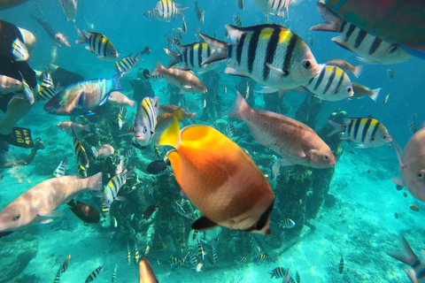 Gili Eilanden Lombok: 4 uur privé snorkeltrip voor groepen