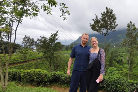 Kandy: Private Ella Journey with Tea, Falls & Arch Bridge