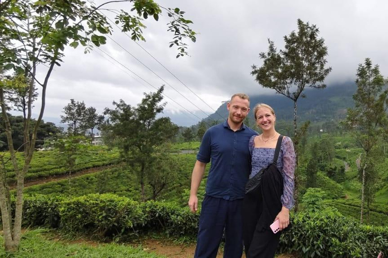 Kandy: Private Ella Journey with Tea, Falls & Arch Bridge