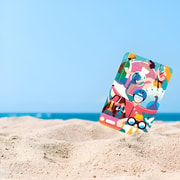 Singapore: Fun Discovery Pass