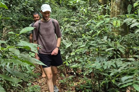 Paraty: Melancia Waterfall Trail Guided Hike with Pickup