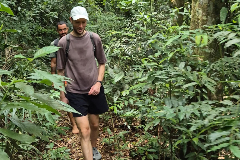 Paraty: Melancia Waterfall Trail Guided Hike with Pickup