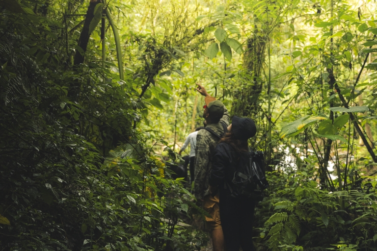 Van Medellin: begeleide wandeltocht in de natuur