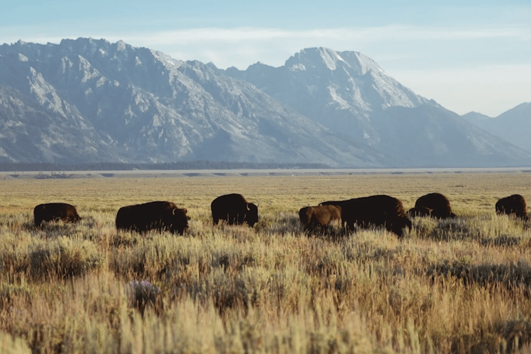 Grand Teton: Private Guided Tour (Sunset)