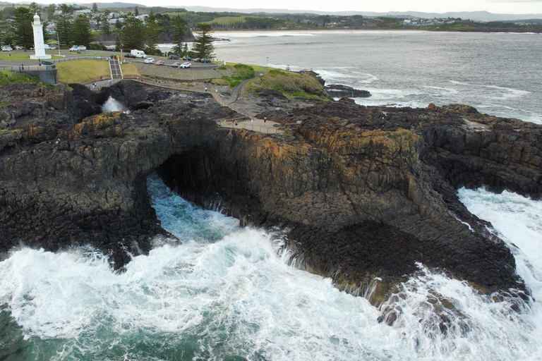Sydney Secret Coastline: Kiama Blowhole, Wollongong Wildlife Shared Tour, Meet at Furama Darling Harbour