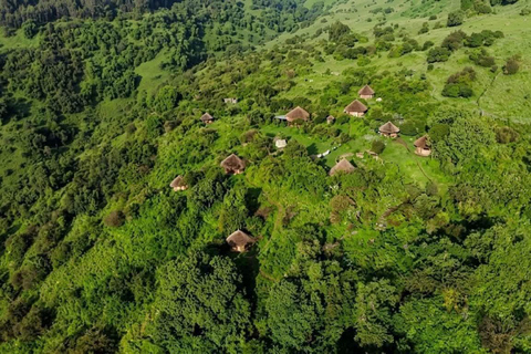 Addis Ababa: Entoto Forest, Villages, and Lunch Tour