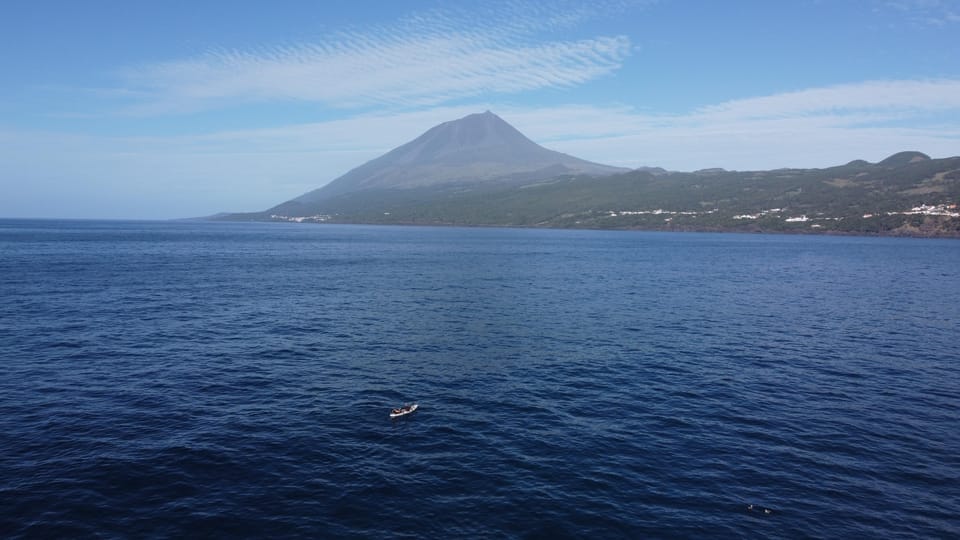 Isla de Pico Azores Excursión guiada en kayak y snorkel GetYourGuide