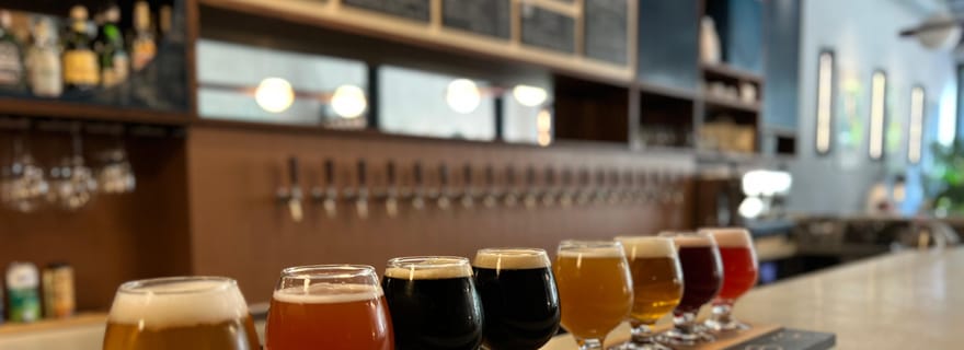 Sopot : visite-dégustation de bière artisanale avec 10 variétés de bière