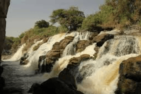 Addis Ababa: 3 Days Awash National park Safari Tour