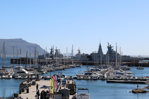 Cape Town: Table Mountain, Penguins & Cape Point Group Tour
