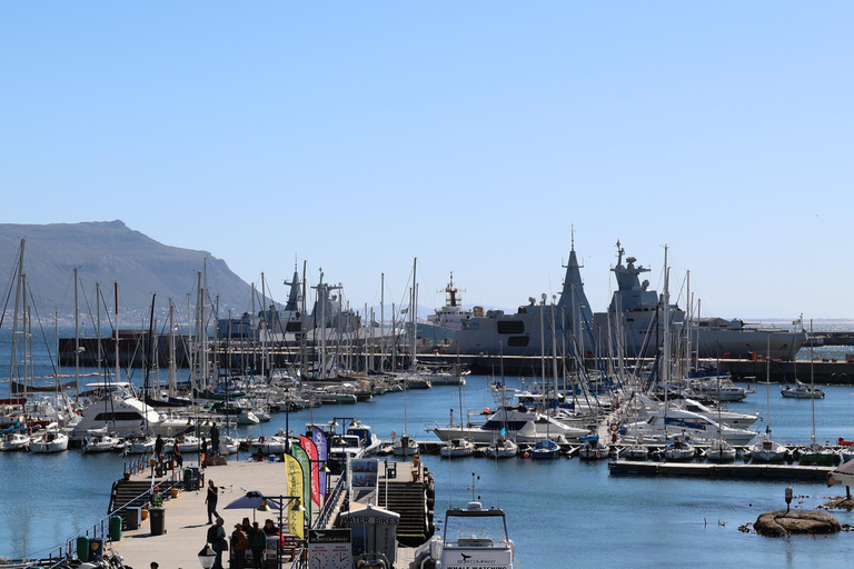 Cape Town: Table Mountain, Penguins & Cape Point Group Tour