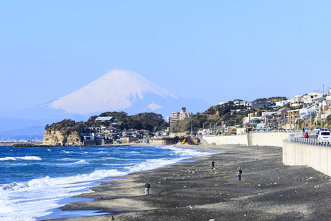 From Tokyo: Kamakura Private Tour with Great Buddha & Bamboo