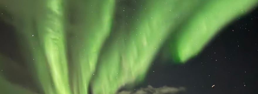Skjervøy, au nord de Tromsø : observation des aurores boréales (minibus)