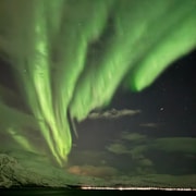 Skjervøy, al norte de Tromsø: observación de la aurora boreal (minibús)
