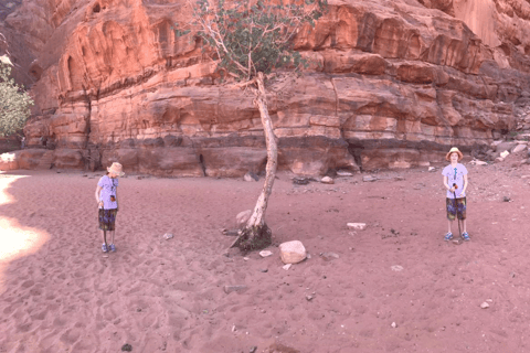 Wadi Rum en Dode Zee 3-daagse privétour