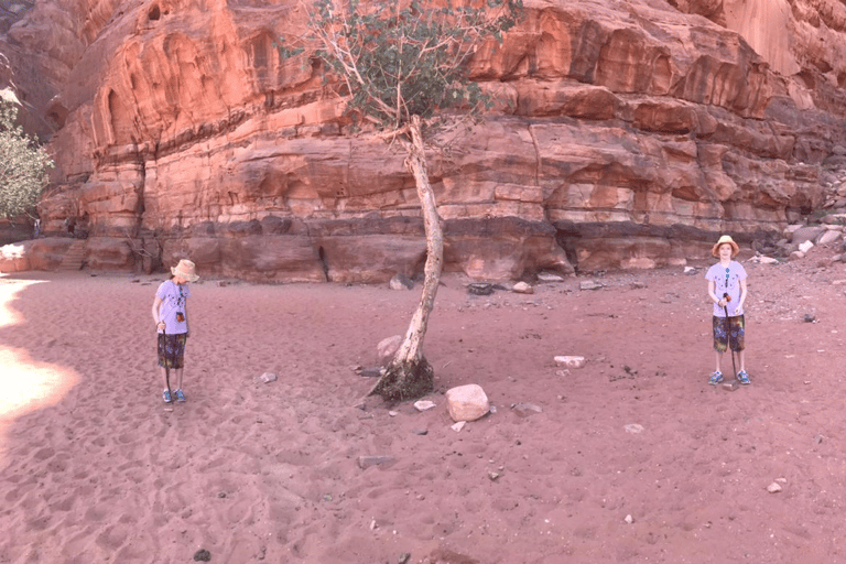 Circuit privé de 3 jours au Wadi Rum et à la mer Morte