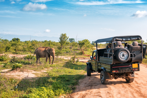 From Kandy: 4-Day Sri Lanka Hill Country Tour with Udawalawe