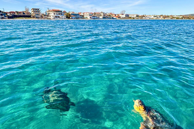 Zakynthos: 4h Turtle, Keri Caves, Mizithres & Eros Cave