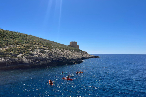 Gozo Kayak Tours