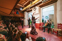 Seville, Casa de la Memoria Flamenco Show - Housity