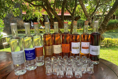 Mauritius southern tour