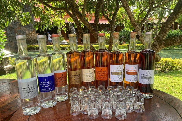 Mauritius southern tour
