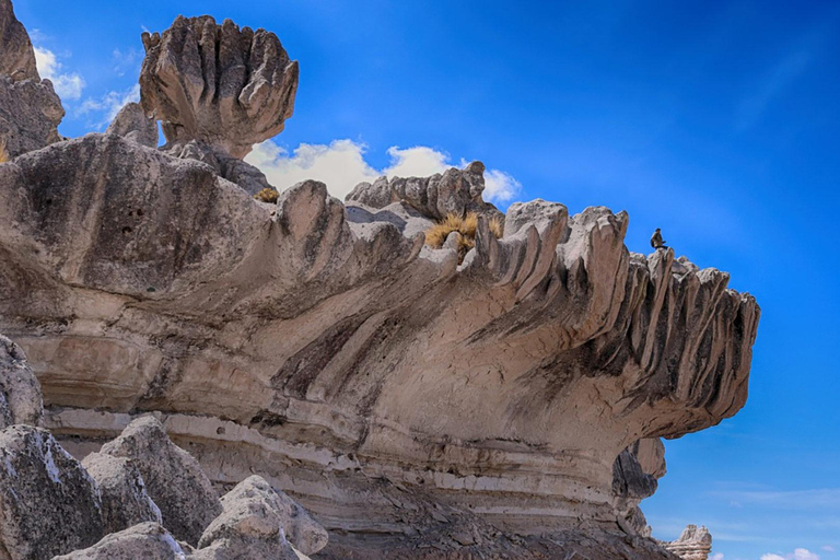 Arequipa: Tour al Paraíso Lunar en Choqolaqa con Caminata Guiada