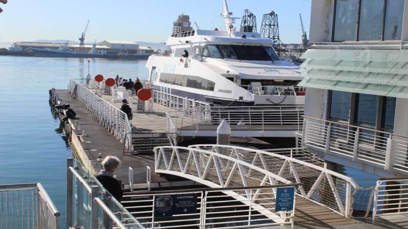 Cape Town: Robben Island Museum and Ferry Ticket
