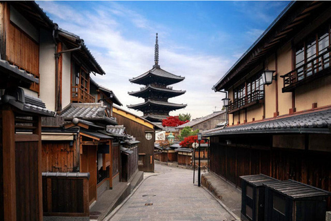 Kyoto/Osaka : excursion d&#039;une journée sur les sites historiques de Kyoto et de Nara