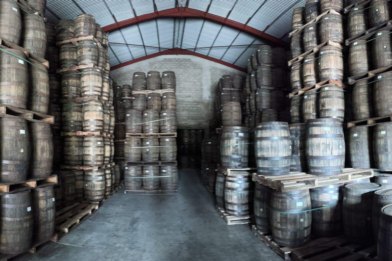 Worthy Park Estate Rum Distillery Tour with Tasting