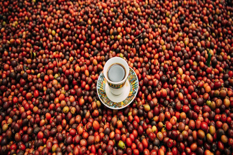 3-Day Coffee Farm & Local Culture Experience in Yirgalem