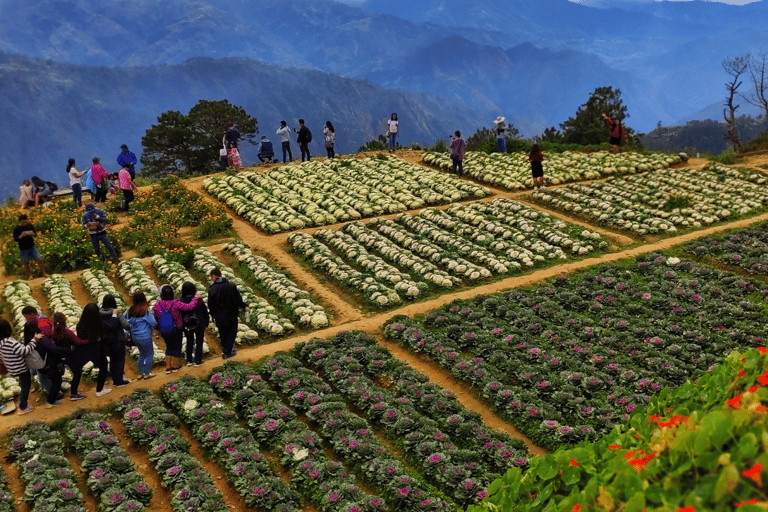 BAGUIO CITY DAY TOUR (FROM MANILA)BAGUIO CITY DAY TOUR 6-13 PAX