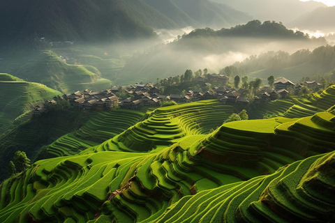 Guilin: Longji Terraces, Yao Village, & Jinkeng join in Tour