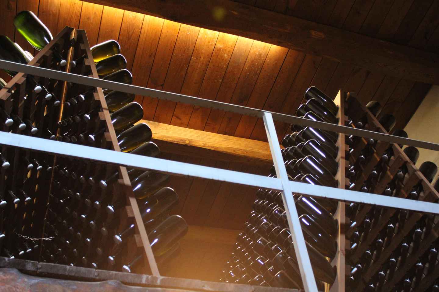 Tour enologico e degustazione di 6 vini - Le Macchie, vicino a Roma