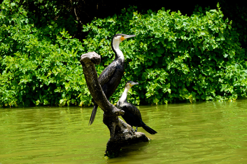 Duluti-See: Kanufahren, Naturwanderung und ExtraKajakfahren, Spaziergang in der Natur und Töpferkurs