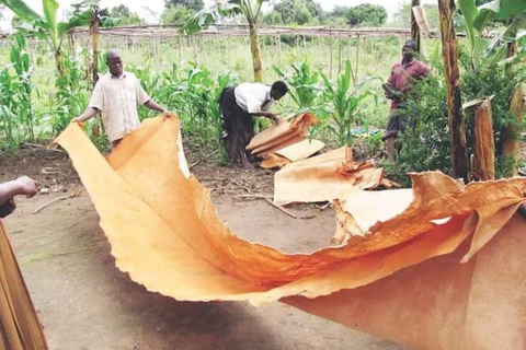 Jinja: Barkcloth Painting and Basket Weaving Workshop