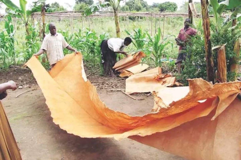 Jinja: Barkcloth Painting and Basket Weaving Workshop