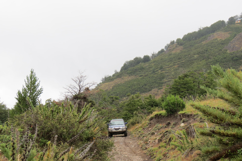San Martín de los Andes: a 4x4 guided tour to the Mallin