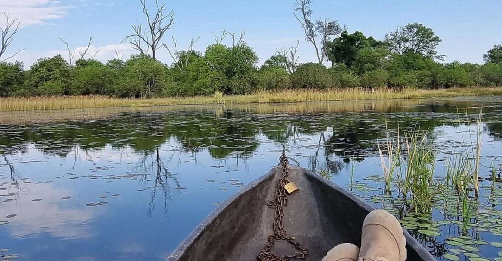 Okavango Delta, 1 Day Mokoro/Canoe Tour all-inclusive - Housity